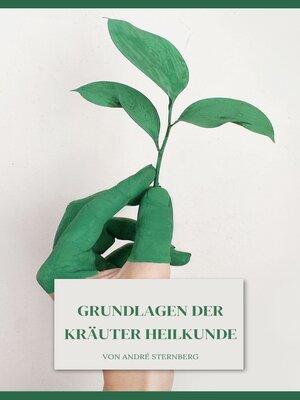 cover image of Grundlagen der Kräuter Heilkunde
